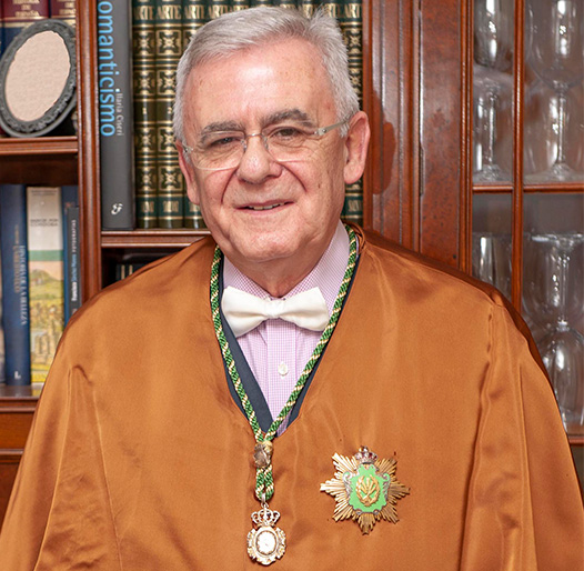  Ilmo. Sr. D. José Roldán Cañas